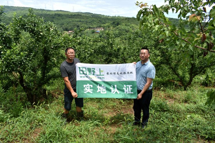 公司团队到分乡镇黄建华水果采摘园开展服务