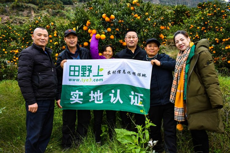 走进秭归县翠英中蜂家庭农场——田野上团队服务小记