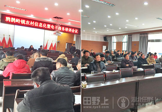 春风送暖意趣浓，信息触网寓意深——鸦鹊岭镇农村信息化暨电子商务培训会